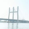 marnidwip