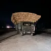 bayramov336
