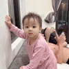 lyngao01