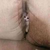 gagas_mrbn15