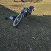markovicmaja345
