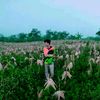 aliicad23