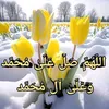 najmadinxalil23