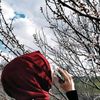 sibelayhan08