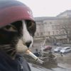 budy_3477