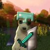lincool31