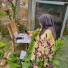ririnanggrek_cendoldawet