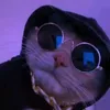 vlyreehaha