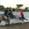 fellipefreitas266