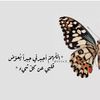 il23ily