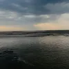 laddanjafri24