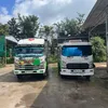 nghia_29px
