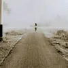 abr_zak51
