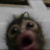 lilbean2981