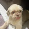 imrogerpo