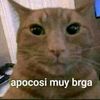 apocosi_muy_brg