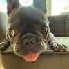 junebug11325