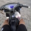 deerysb_