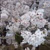 soooma_01