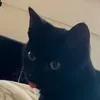 funnyxanna