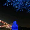 syaffiqa_piqa