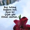 sbdhgdbr