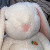cozy__cavia