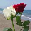 sol.luna_1