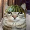 khanhluan566