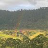 rainbowsanddogs93