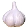 isacekecit