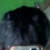 yohrikoanyar