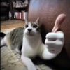 billybenbobby