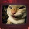 catcuulltt