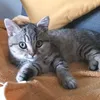 dodixjdyej
