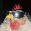 frankster_dodds