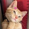 wwmohamed82