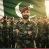 falconadnan
