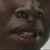 zygot2