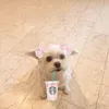 simpji
