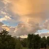 artyomovamusic