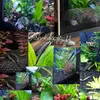 fish_keeper_11