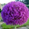 khanhhien010