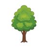 pokok099