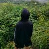 samudrabaee