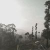 doi_nguawor_amat