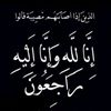 rehabrehab281