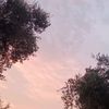 zqkl23