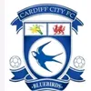 ccfc.joel.2010