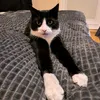 dtgxdtgxdfcsf